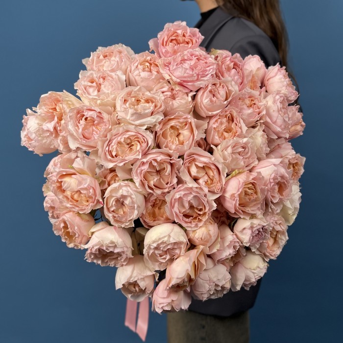 Кустовая пионовидная роза Джульетта Хани 60 см